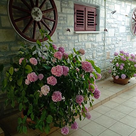 Apartman Sunce Umag Dış mekan fotoğraf