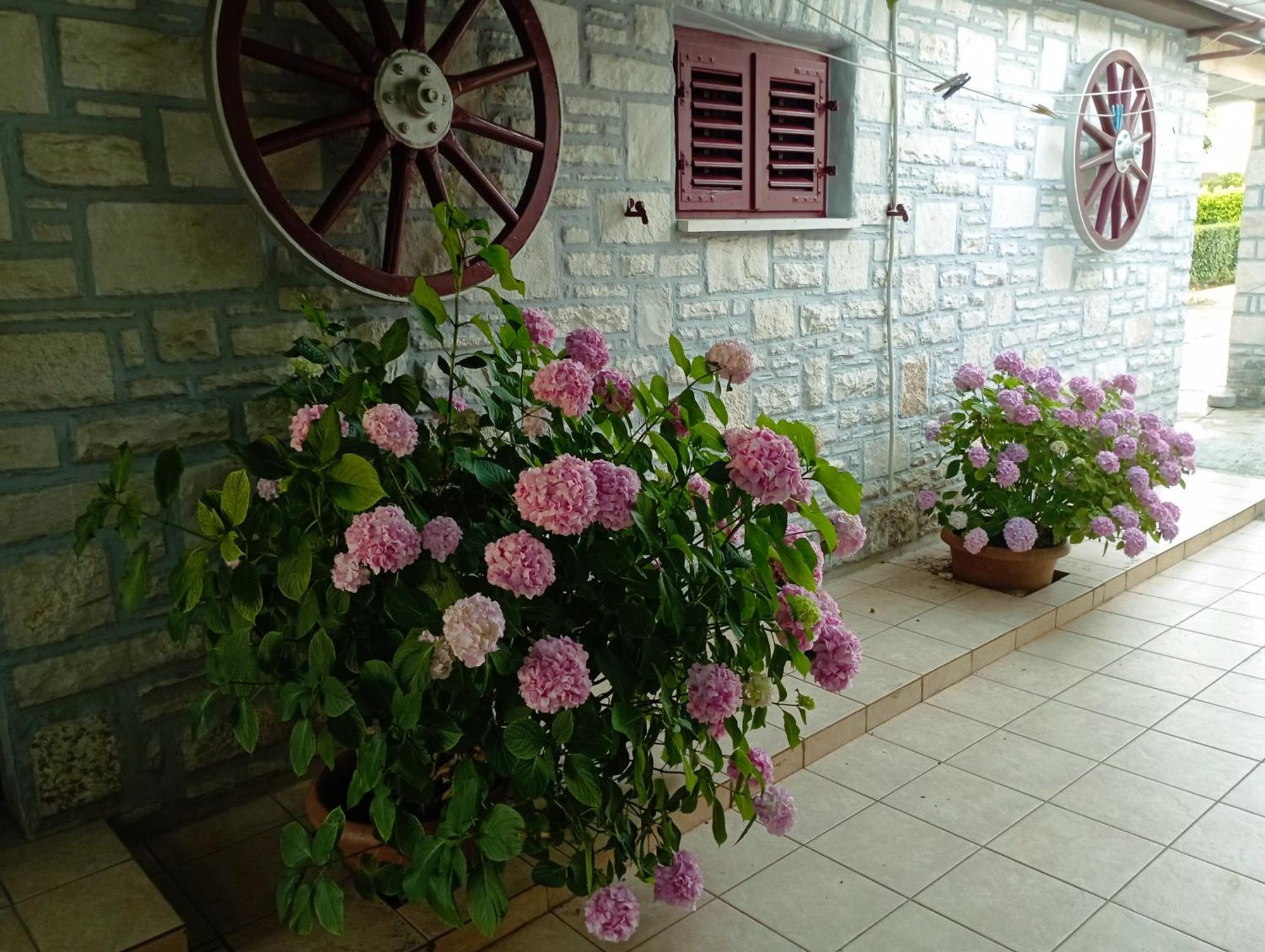 Apartman Sunce Umag Dış mekan fotoğraf