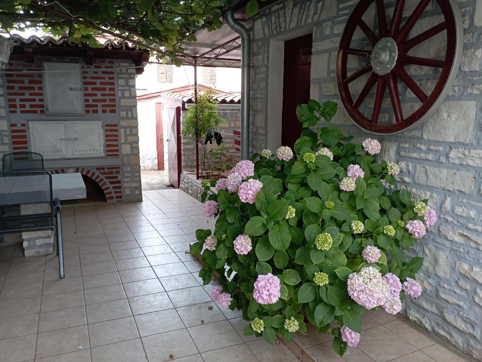 Apartman Sunce Umag Dış mekan fotoğraf